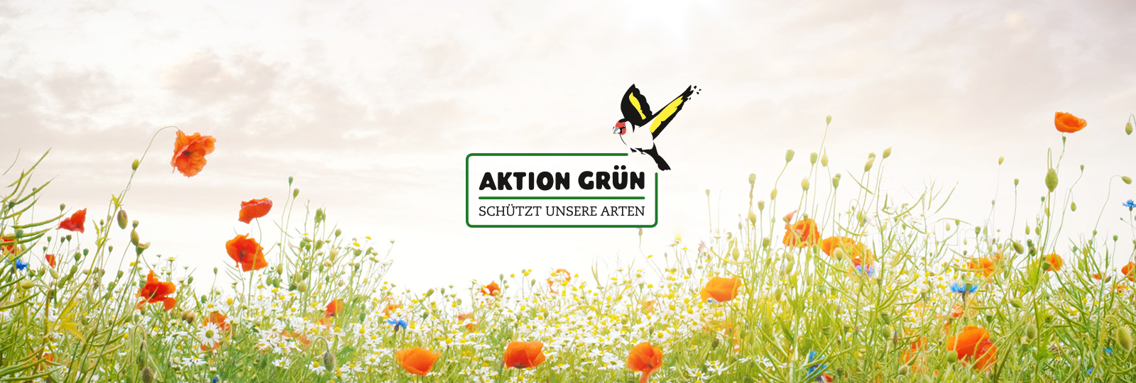 Aktion Grün Logo auf Mohnblumenwiese, Foto: Fotolia Aktion Grün Logo auf Mohnblumenwiese
