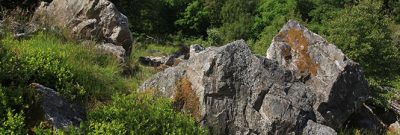 Nationalpark Hunsrück-Hochwald