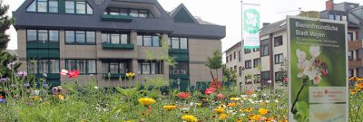 Wildbienenweg in Mayen