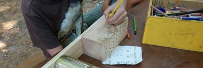 Junior-Ranger Programm