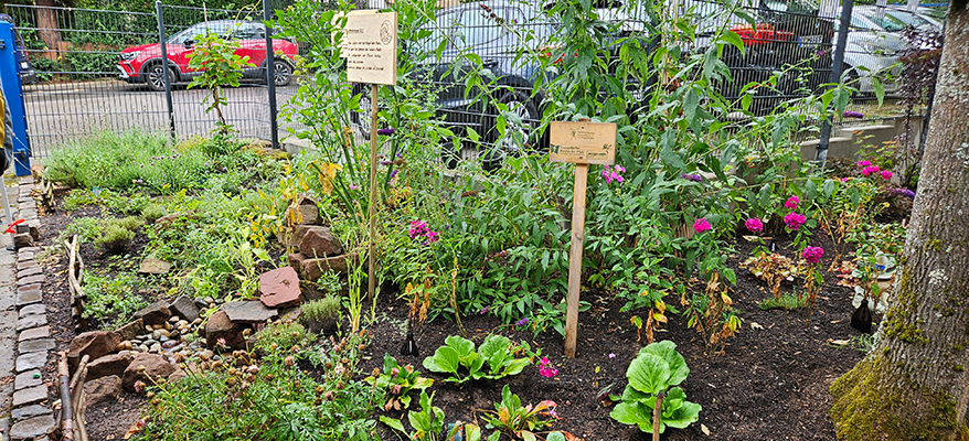 Vorgarten der Kindertagesstätte Sonnenberg, Foto: MKUEM Vorgarten der Kindertagesstätte Sonnenberg, Foto: MKUEM